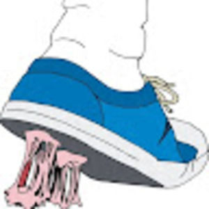 Meet your Posher, Donald